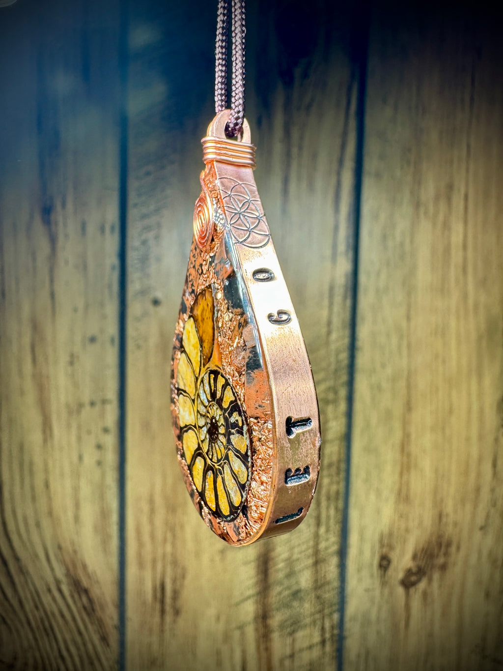 Ammonite- Breathe Let Go