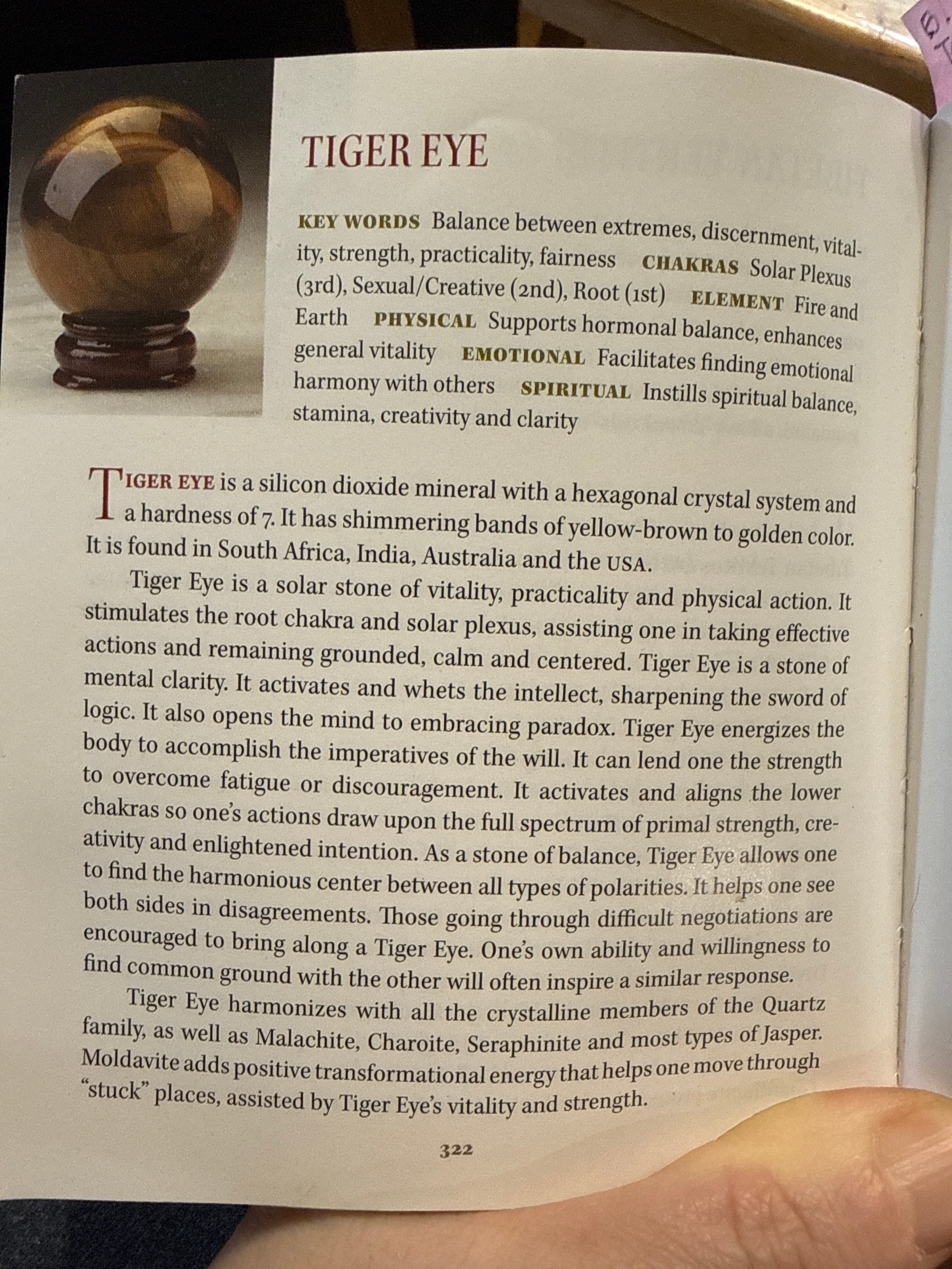 Rooted & Confident+Tigers Eye