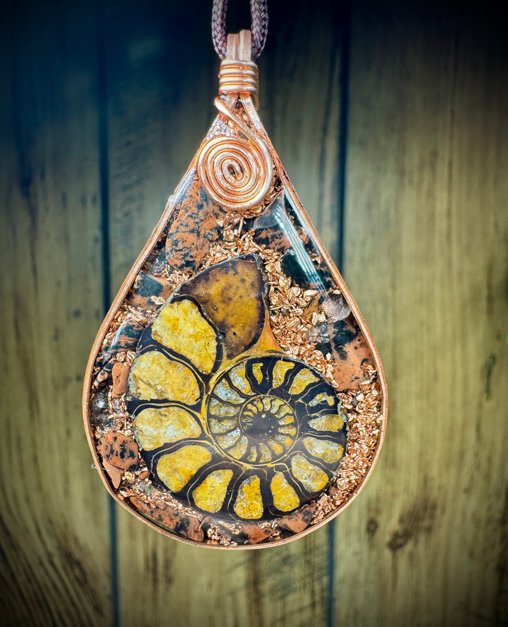 Ammonite- Breathe Let Go