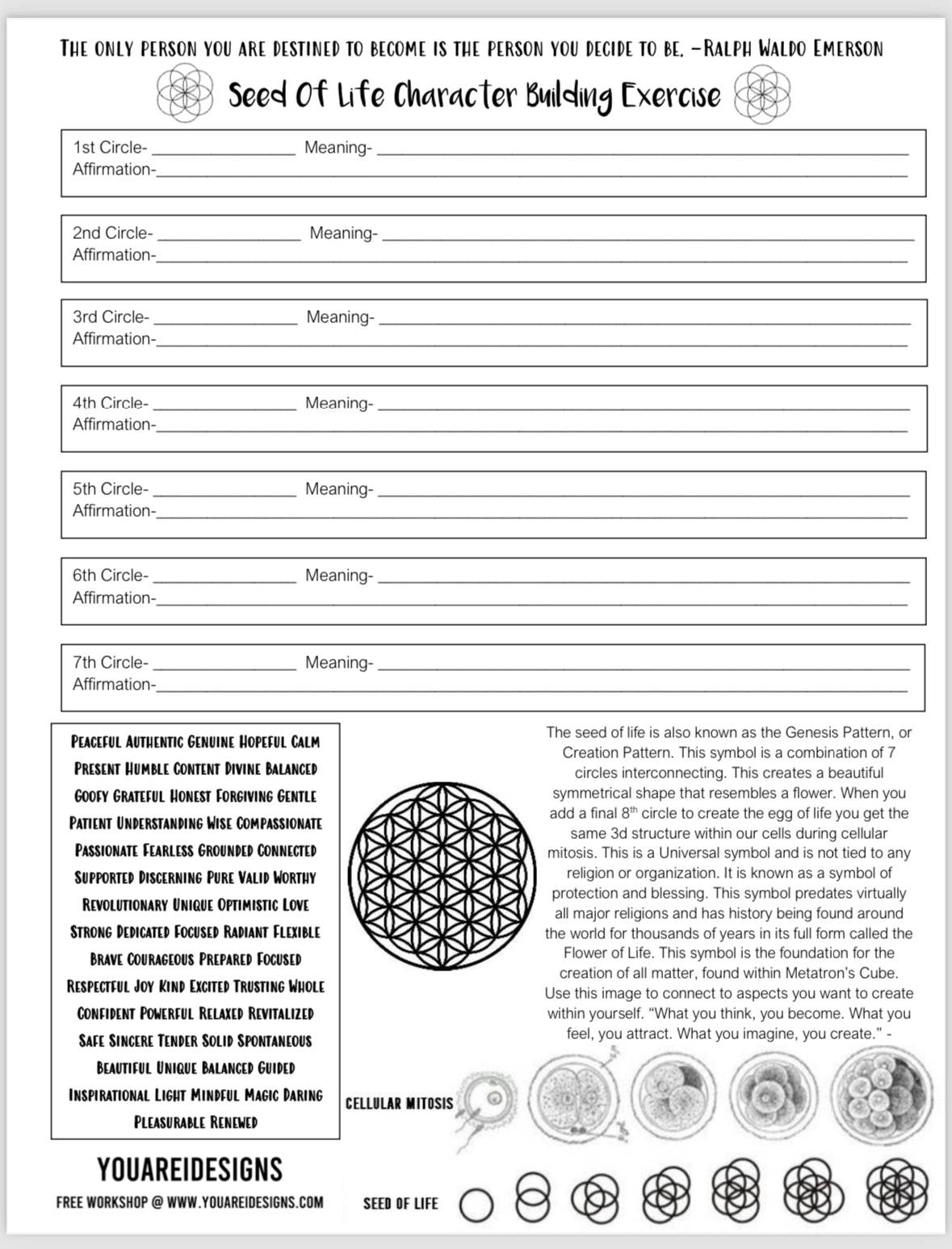 SEED of Life Character Building Exercise