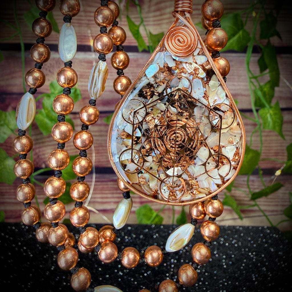 All is connected 🐚