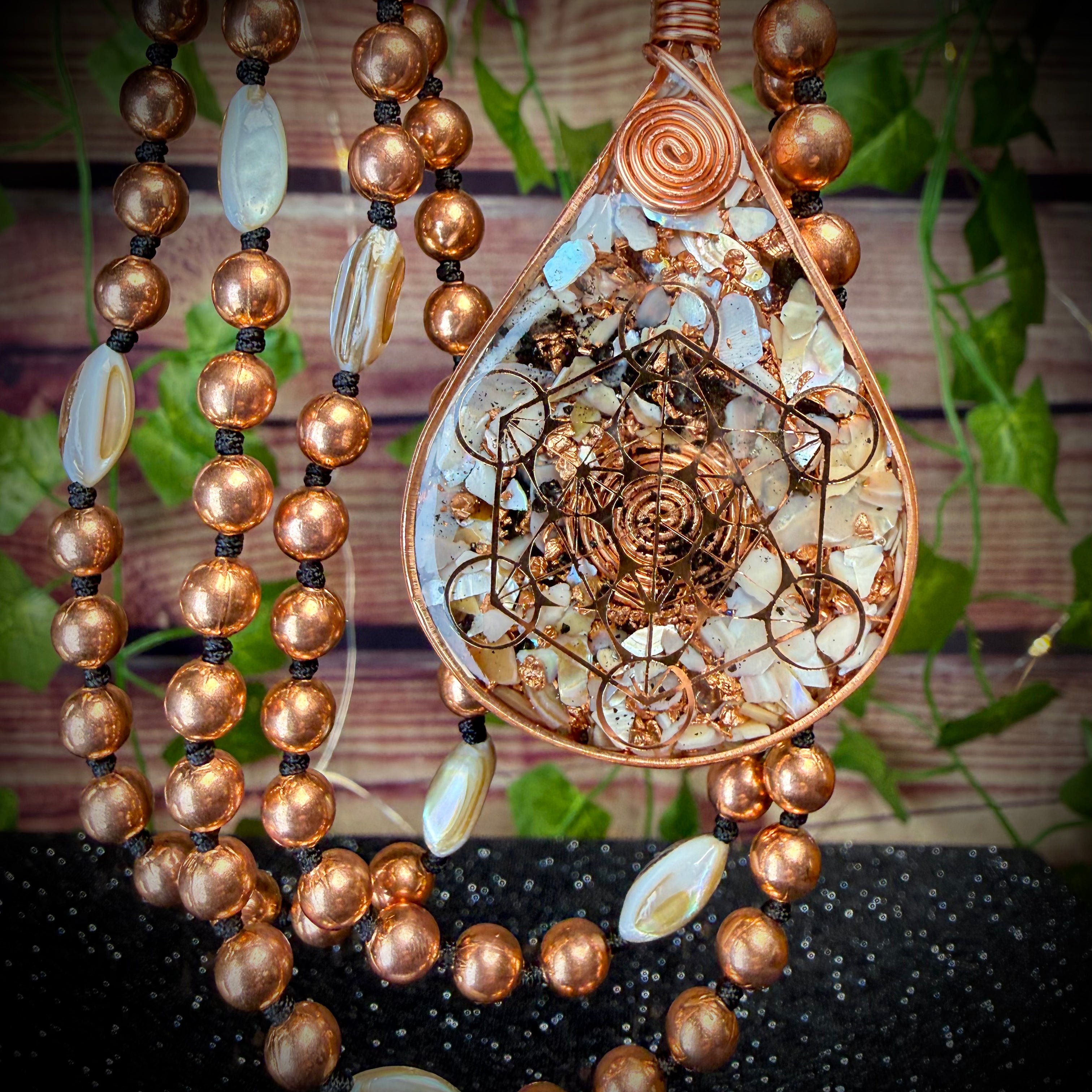 All is connected 🐚