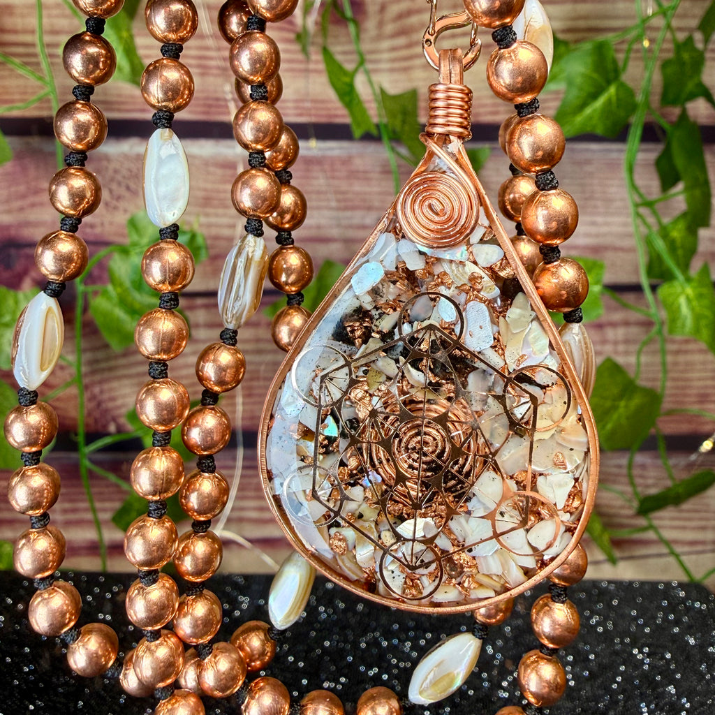 All is connected 🐚