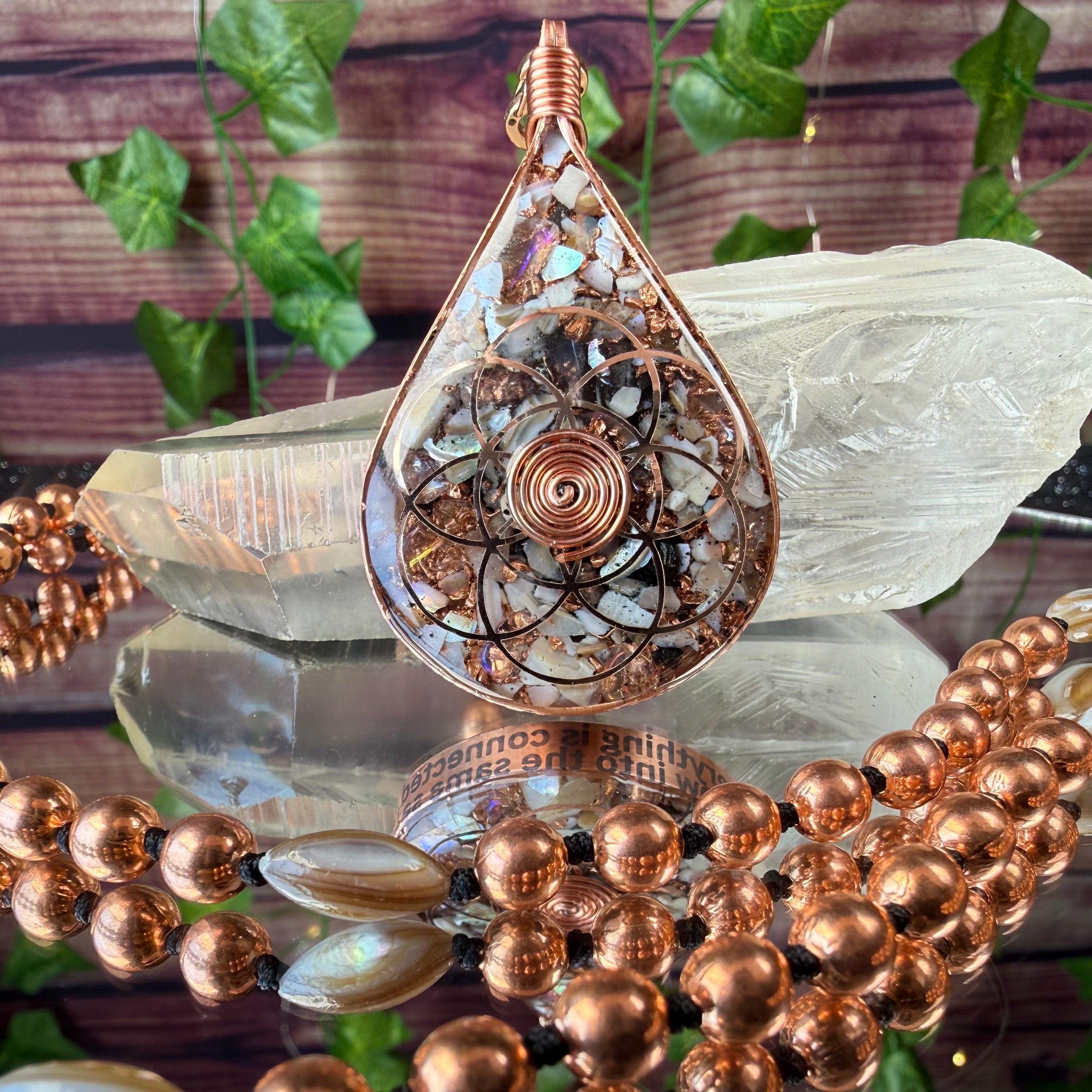 All is connected 🐚