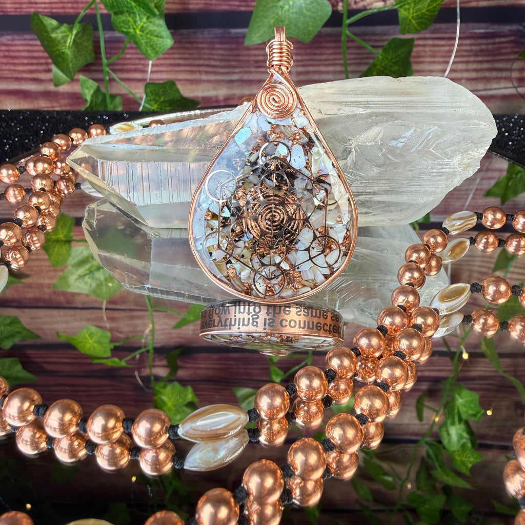 All is connected 🐚