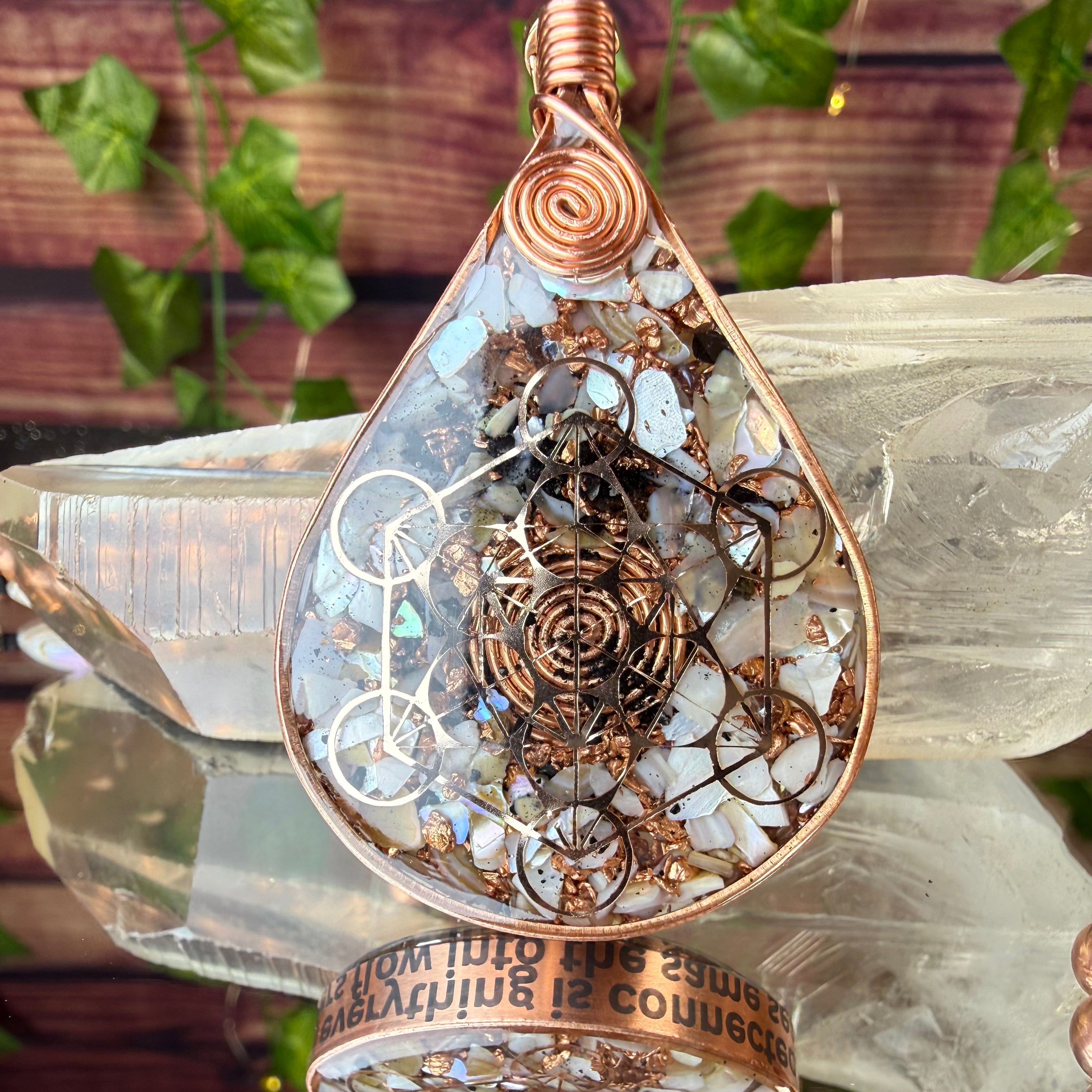 All is connected 🐚