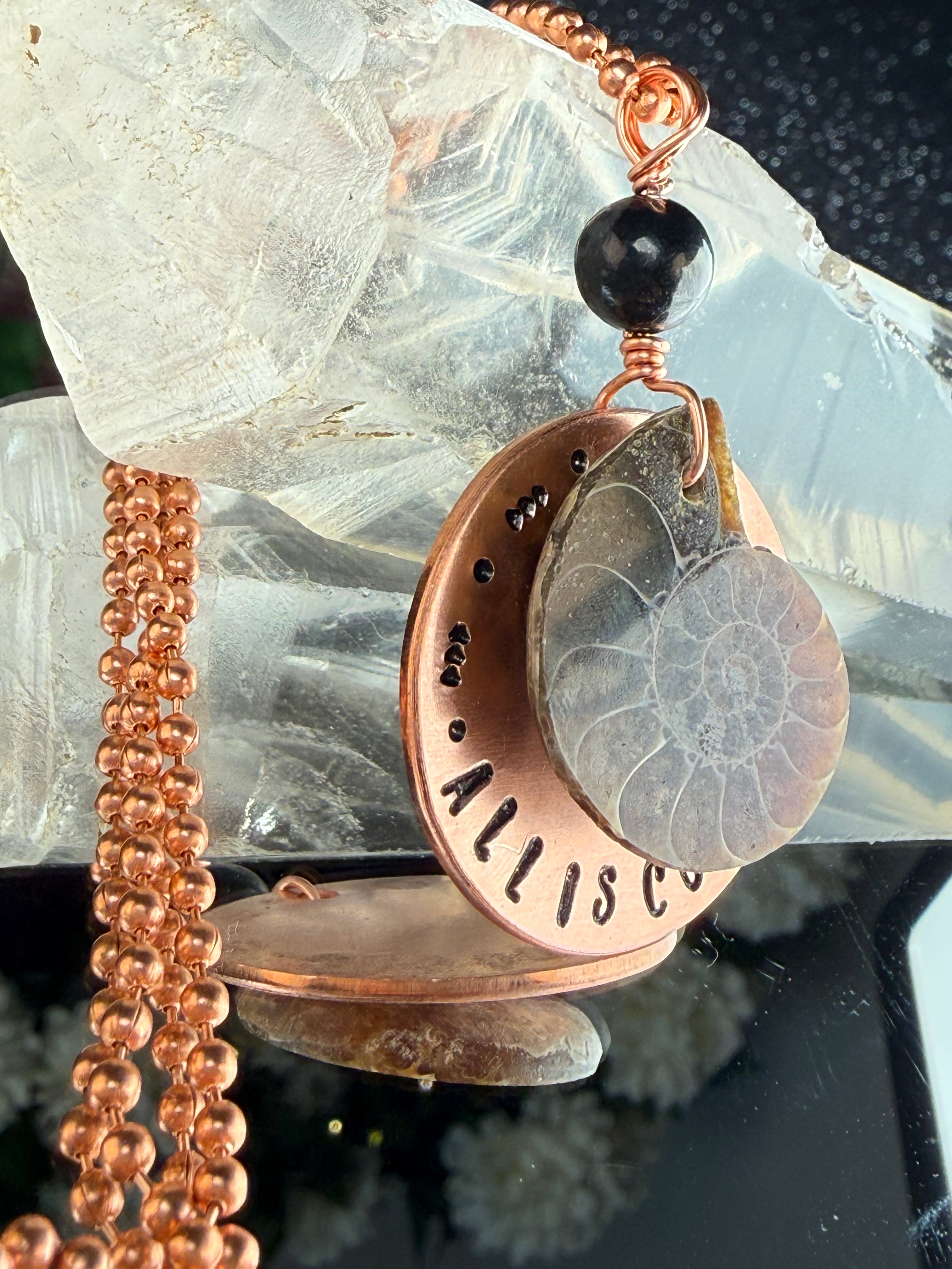 All is Connected~Copper Coin & Ammonite Shell