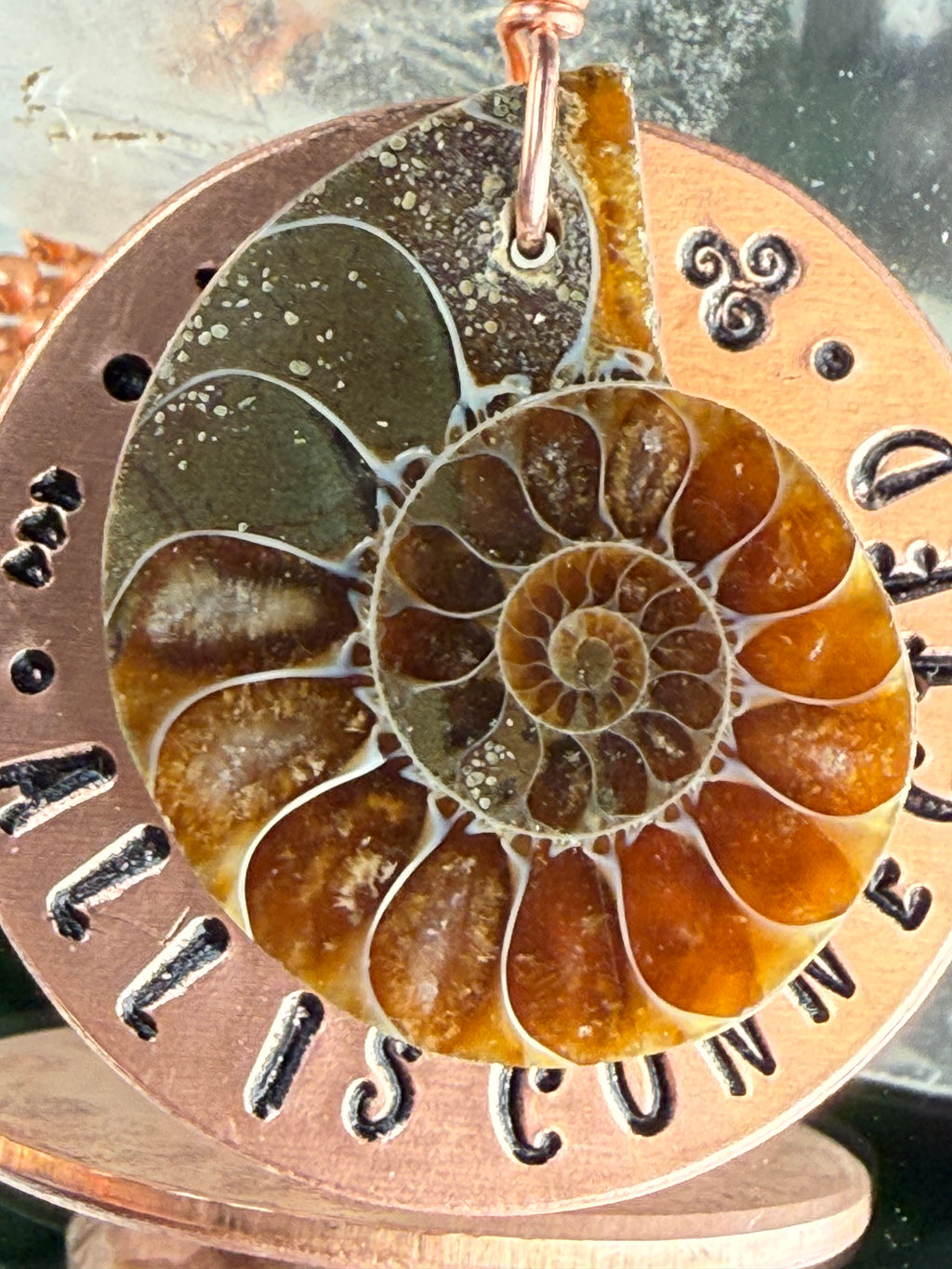 All is Connected~Copper Coin & Ammonite Shell