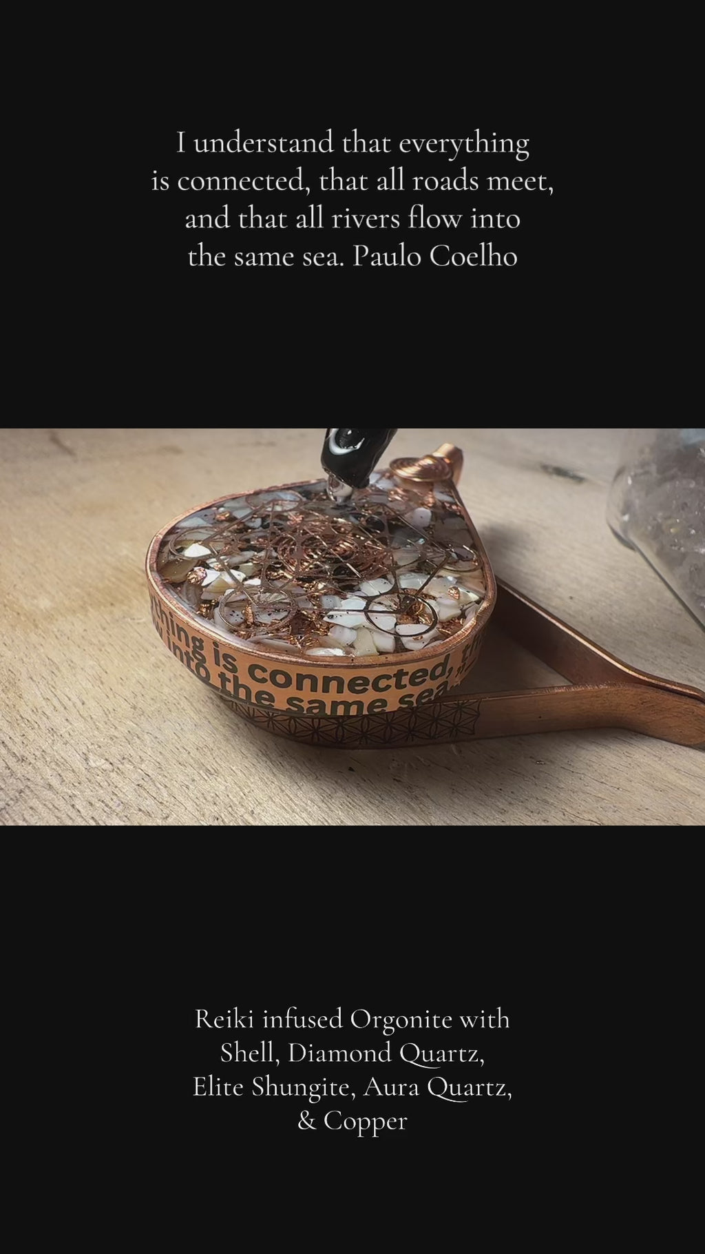 All is connected 🐚