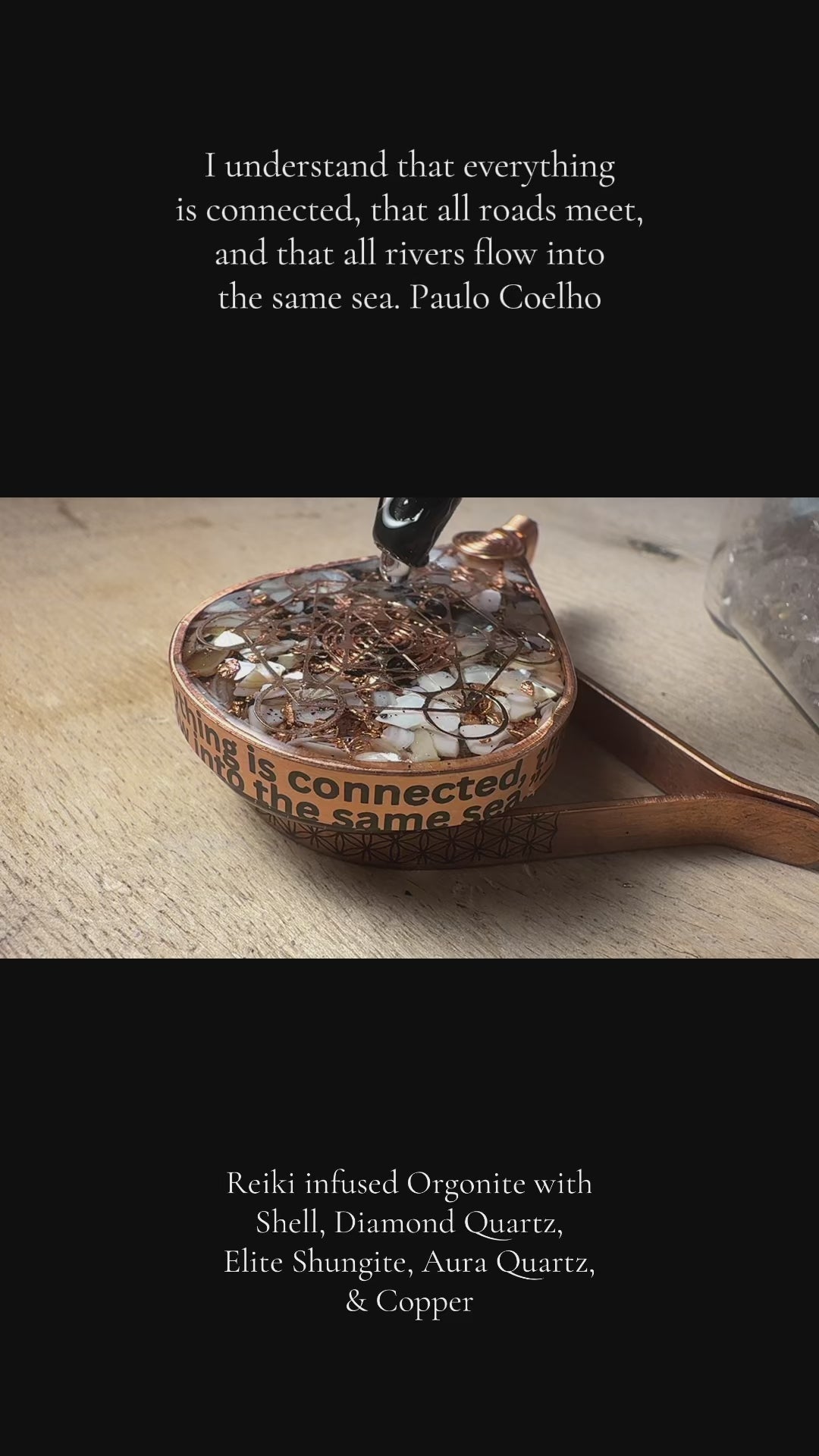 All is connected 🐚