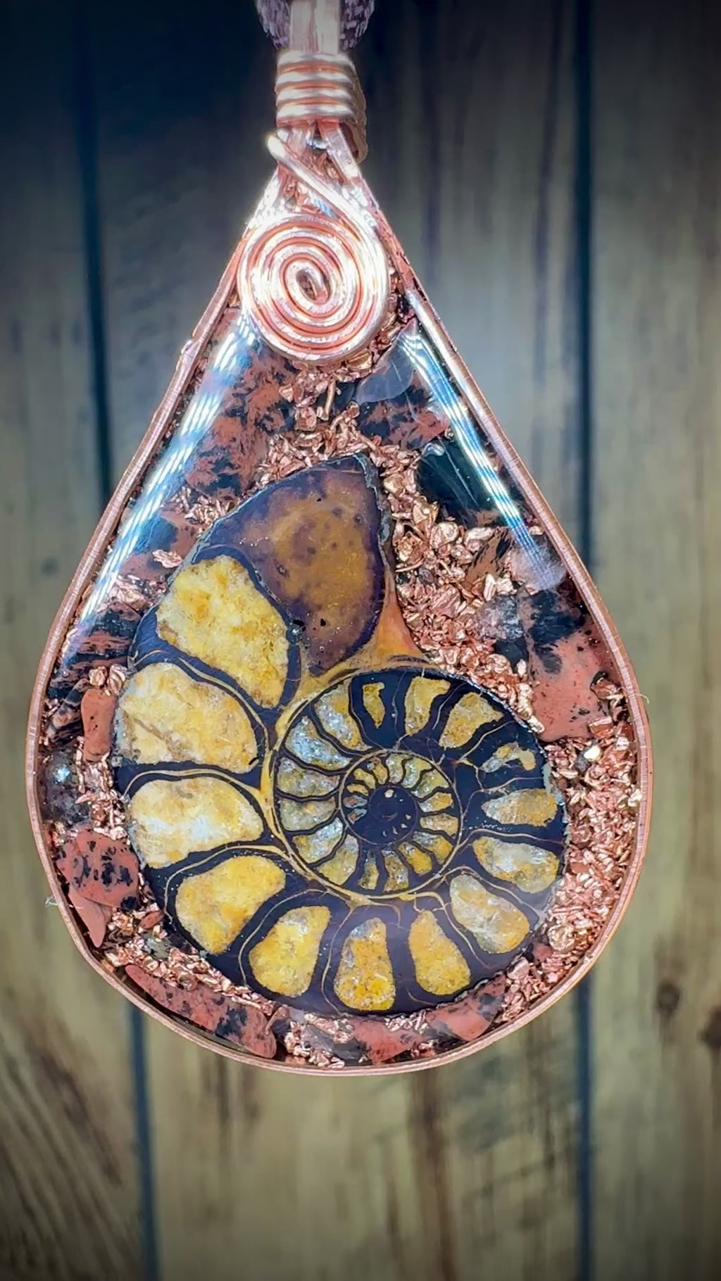 Ammonite- Breathe Let Go