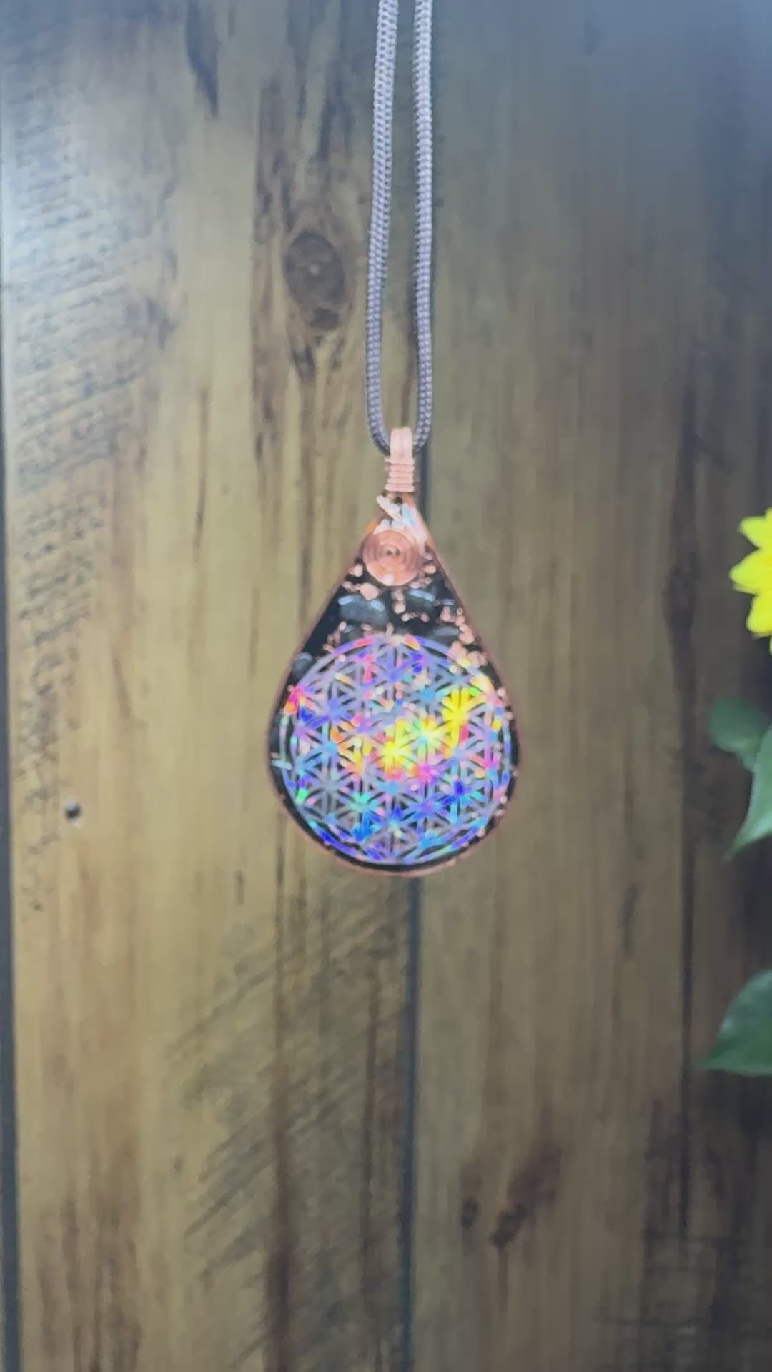 Flower of Life+Seed of Life